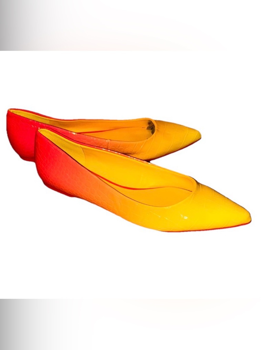 Women's Crocodile Ombre Pointed Toe Flats